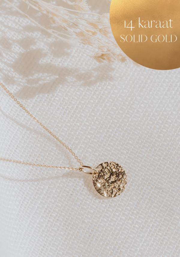 gftd 14 karaat Little Moon hanger