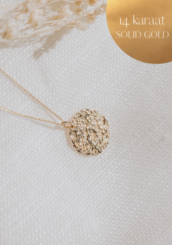 gftd 14 karaat Moon hanger