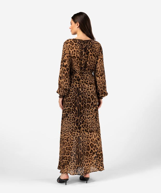Ibana Dix | Leopard