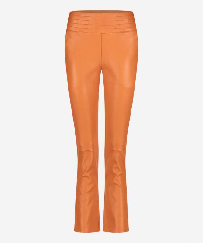 ibana Phien | GOLDFISH