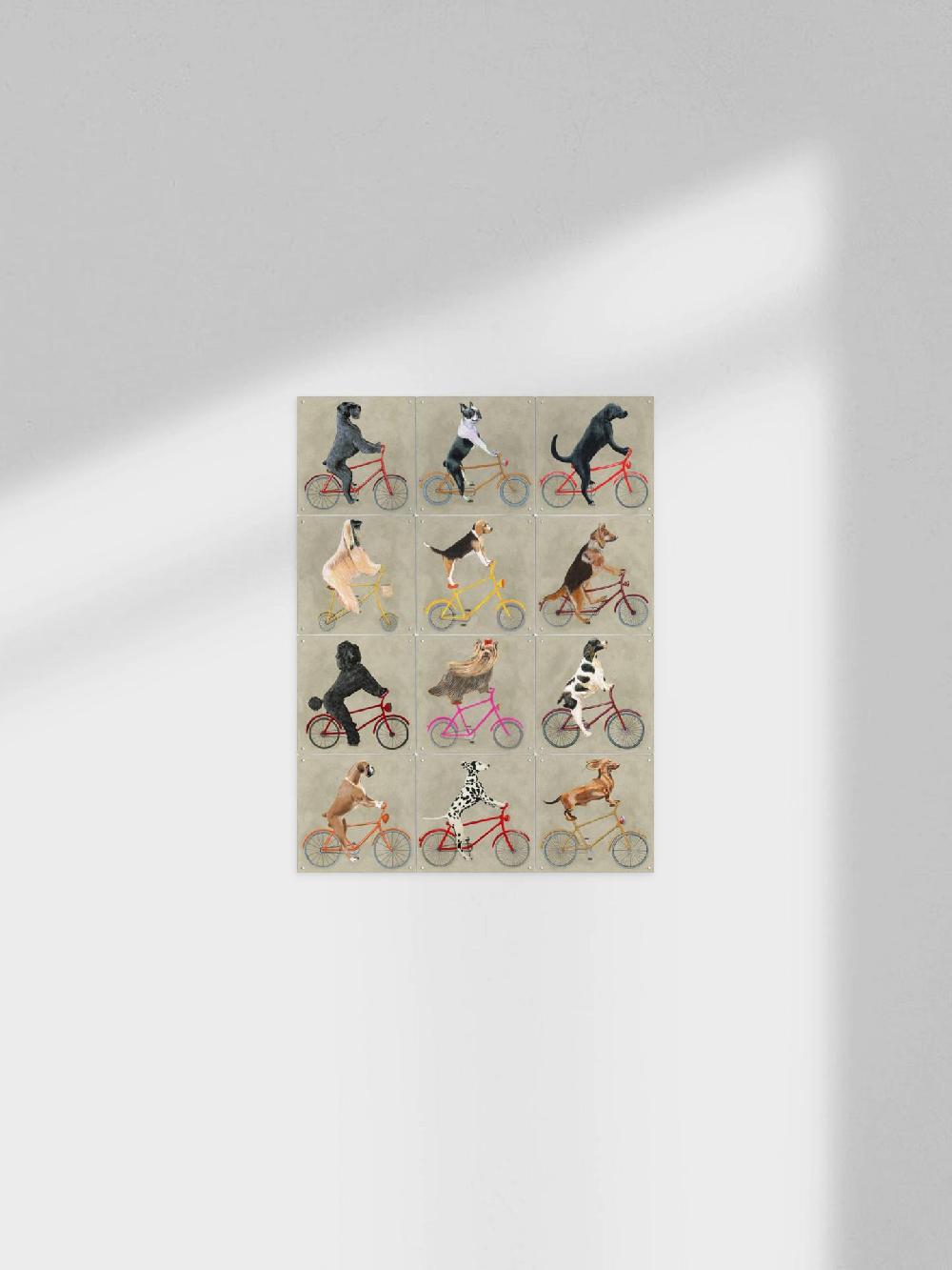 ixxi Coco de Paris Dogs on Bicycles Collage Box vanaf € 33