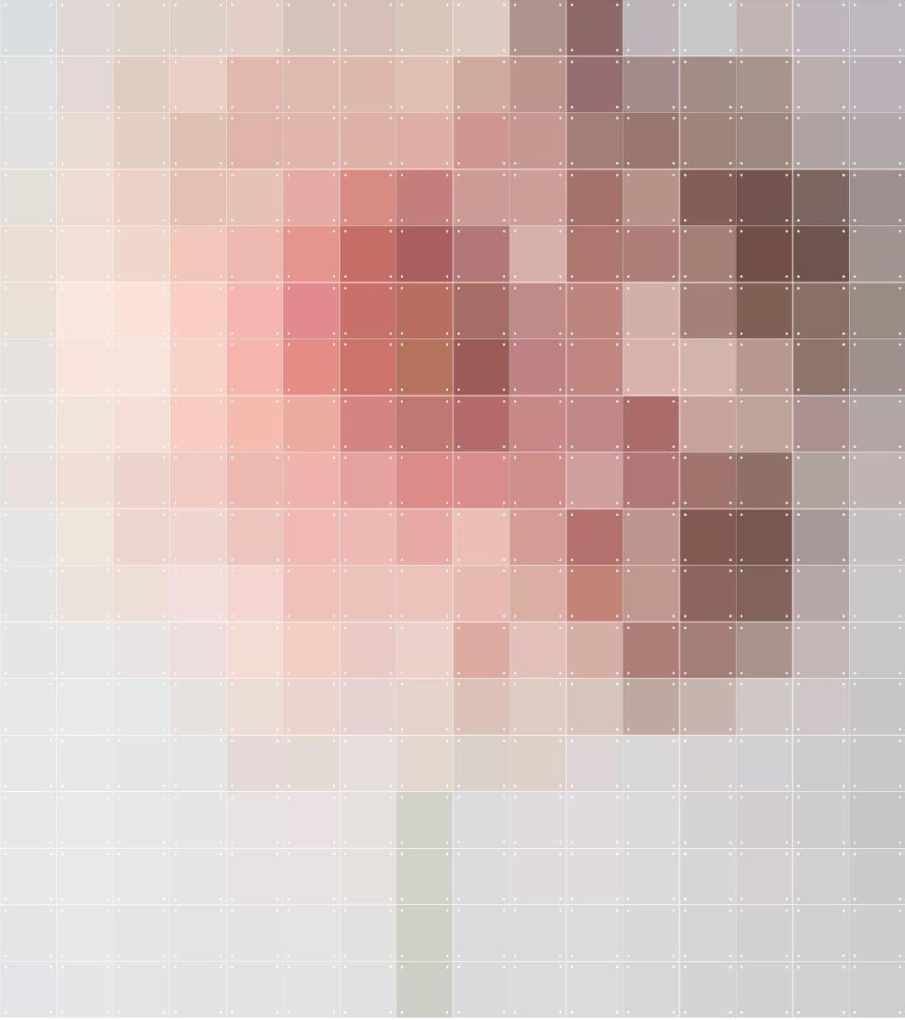 ixxi Elke Dag een Feestje Pink Flower Pixel 160 x 180 cm € 199