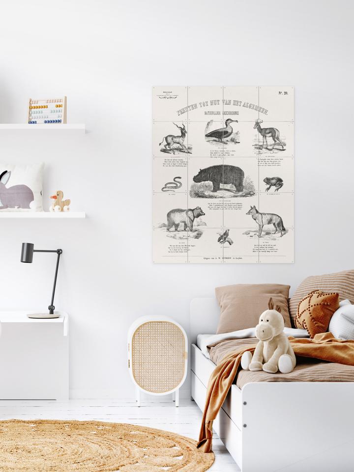 Ixxi Aster Edition Animals Chart Vanaf € 11