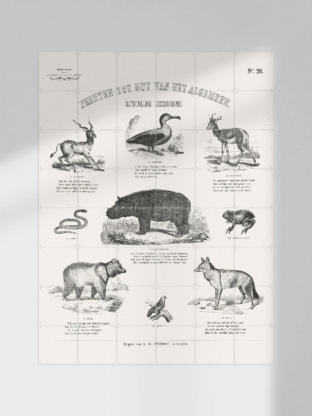 ixxi Aster Edition Animals Chart vanaf € 11