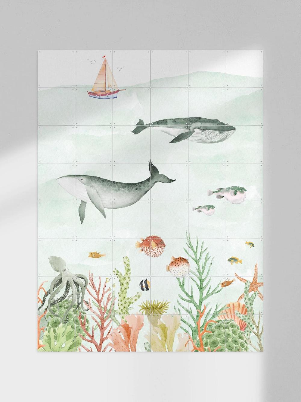 ixxi Creative Lab Amsterdam Sealife vanaf € 11