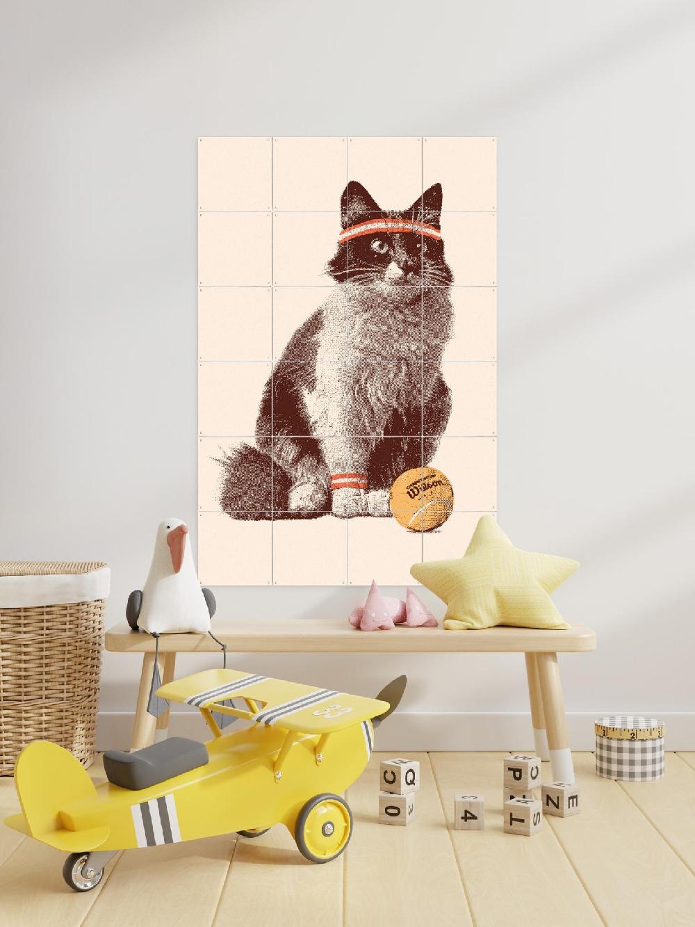 Ixxi Florent Bodart Chat Tennis Vanaf € 11