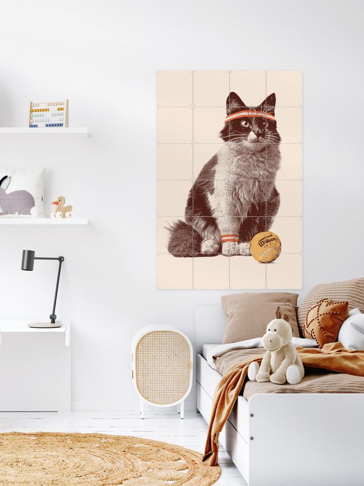 Ixxi Florent Bodart Chat Tennis Vanaf € 11