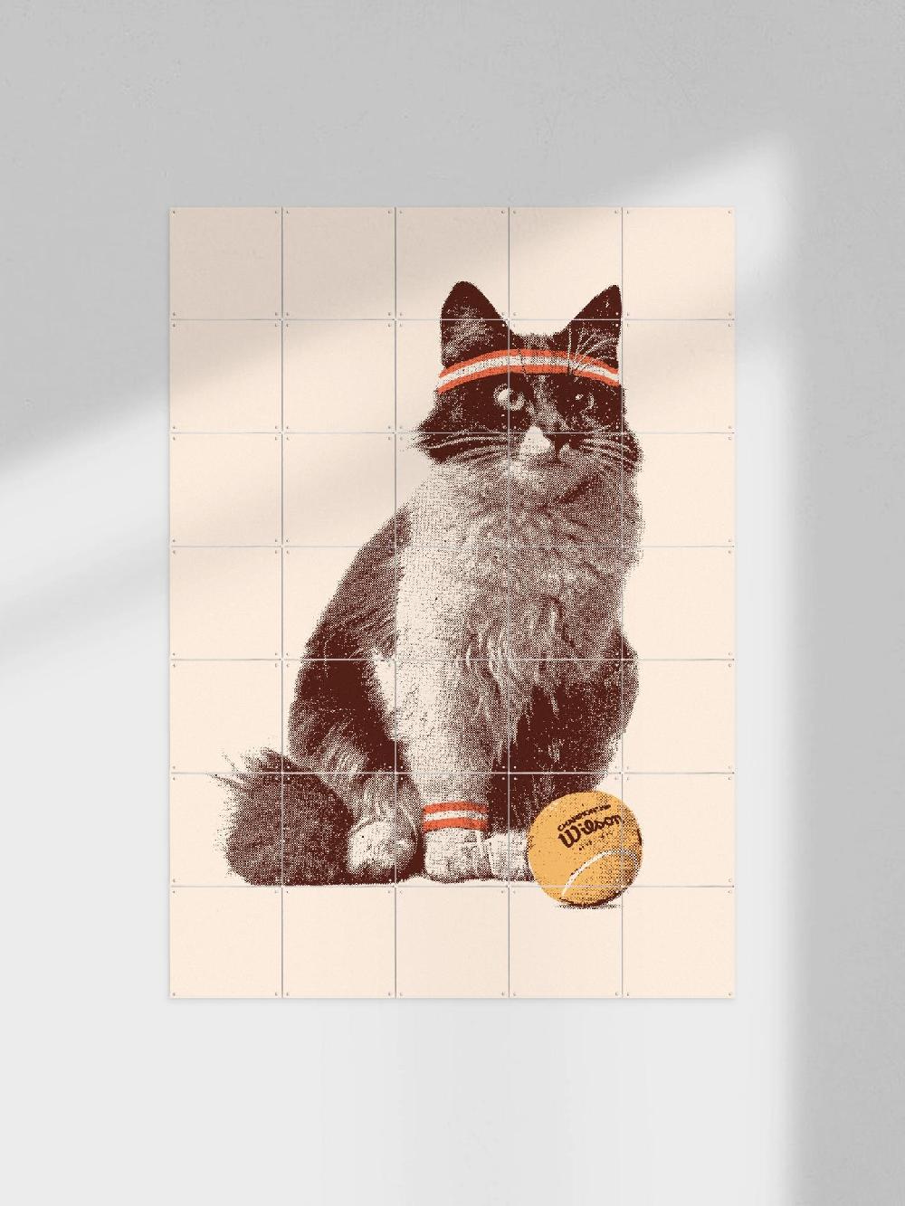 ixxi Florent Bodart Chat Tennis vanaf € 11