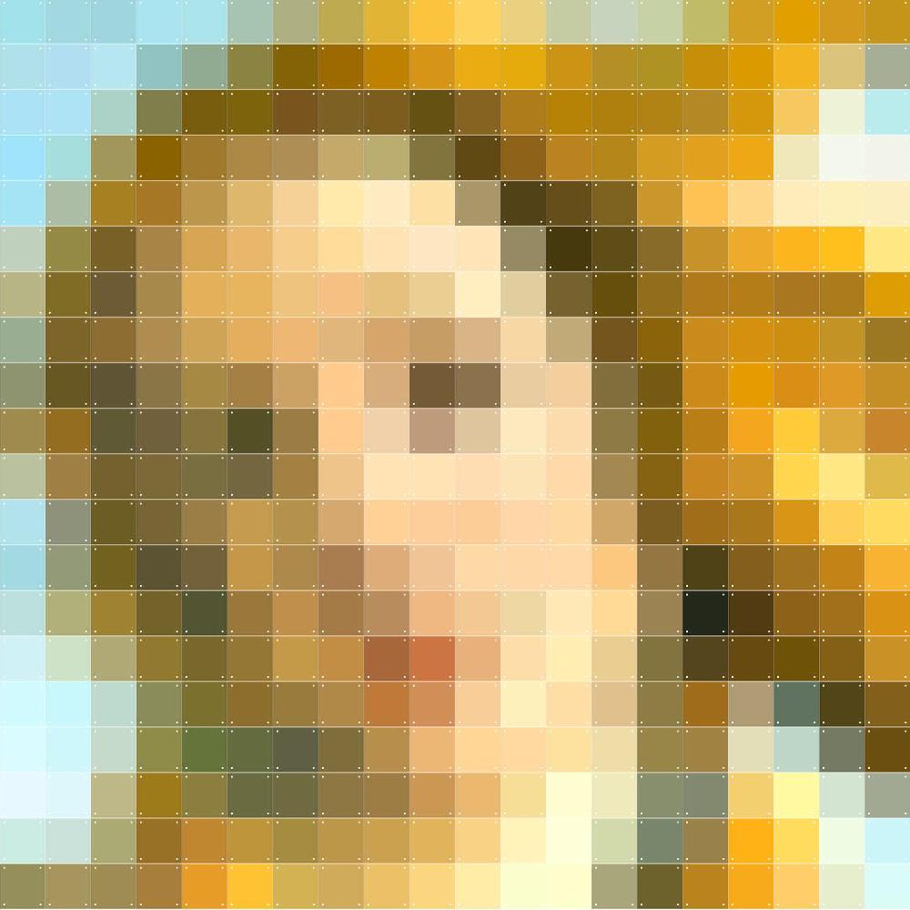 ixxi IXXI Pixels Venus Pixel 200 x 200 cm € 249