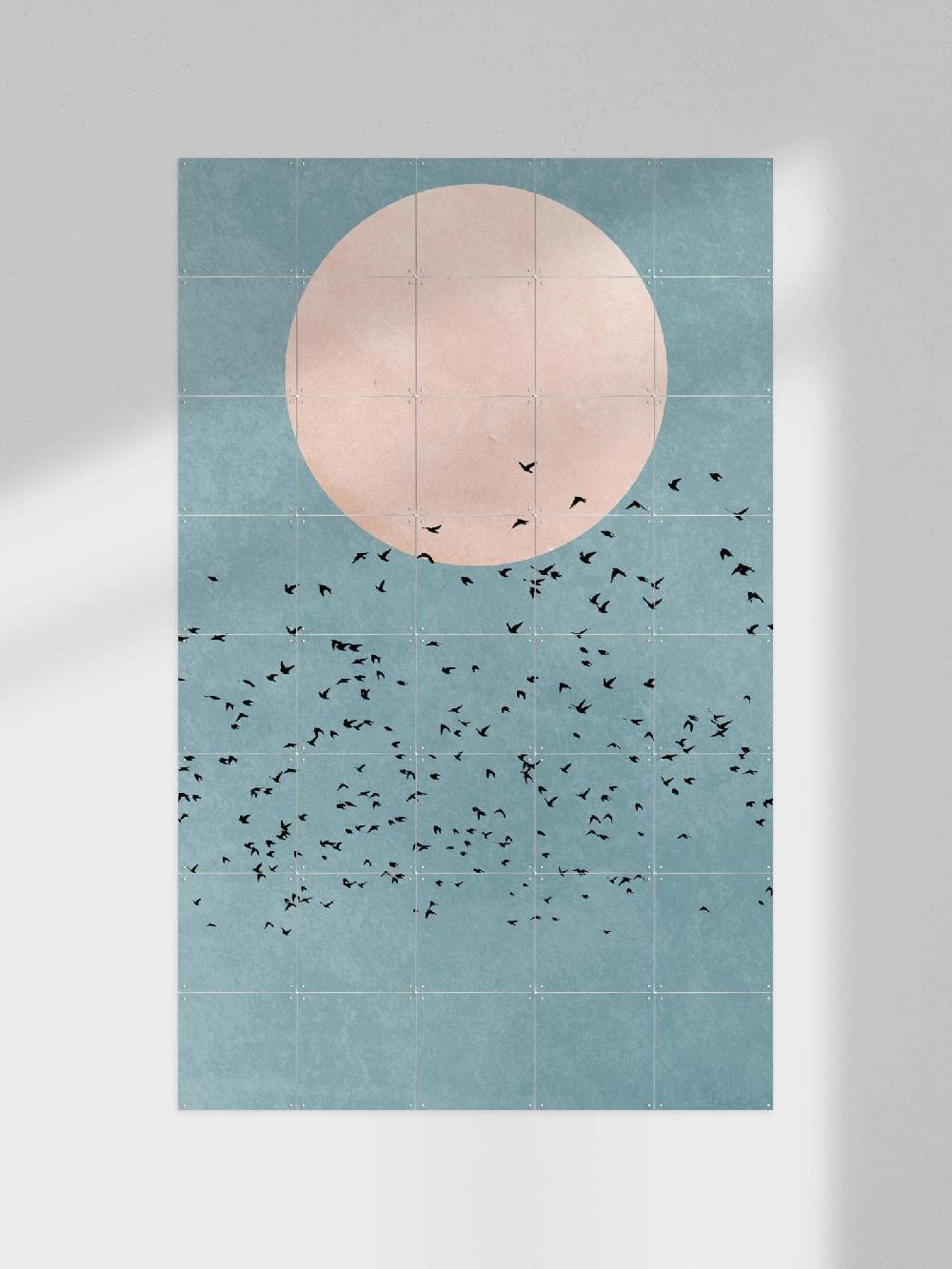 ixxi Kubistika Fly Away vanaf € 11