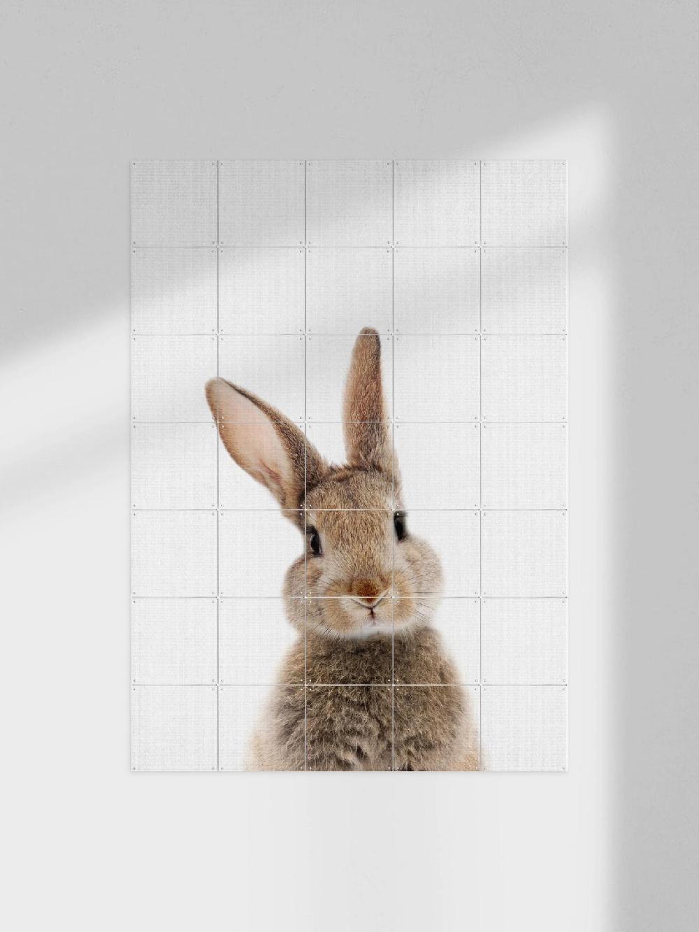 ixxi Lila + Lola Print 315 Rabbit vanaf € 11