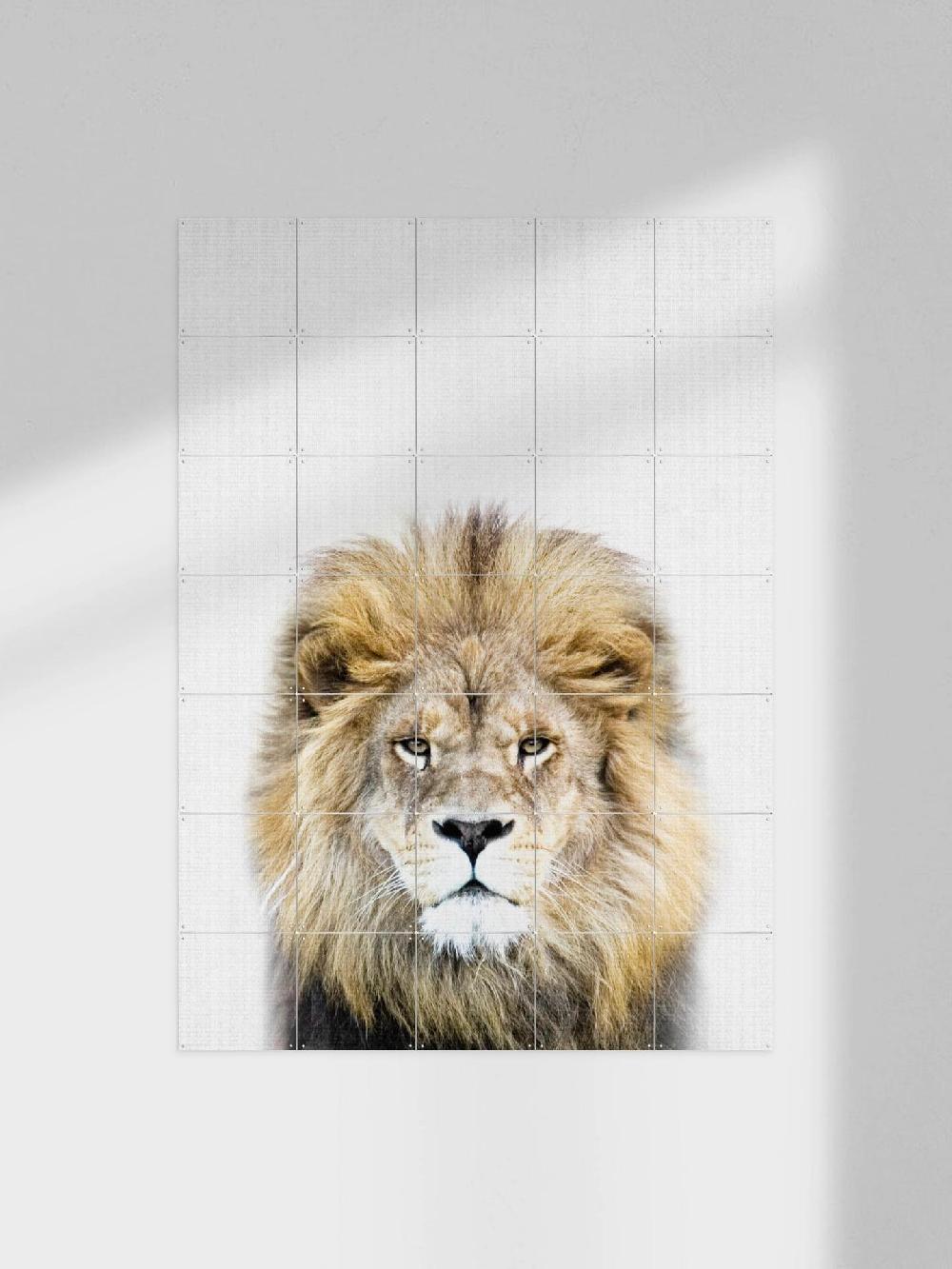 ixxi Lila + Lola Print 326 Lion vanaf € 11