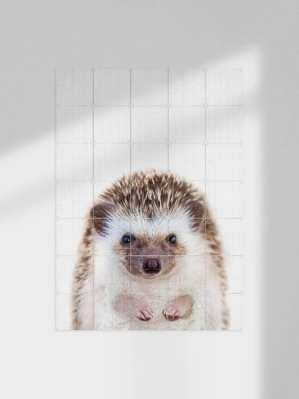 ixxi Lila + Lola Print 357 Hedgehog vanaf € 11