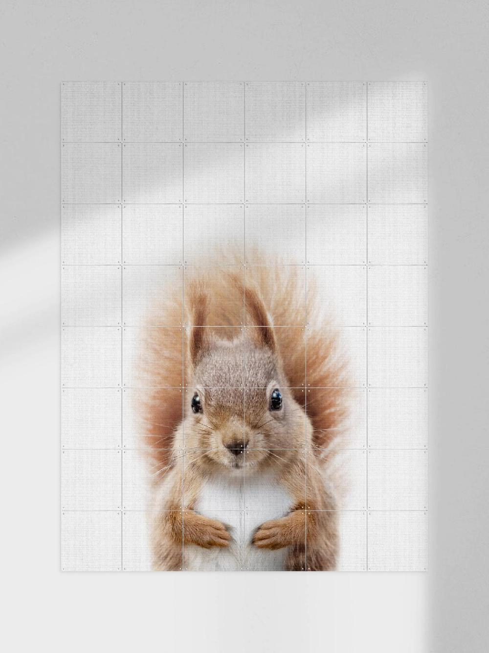 ixxi Lila + Lola Squirrel vanaf € 11