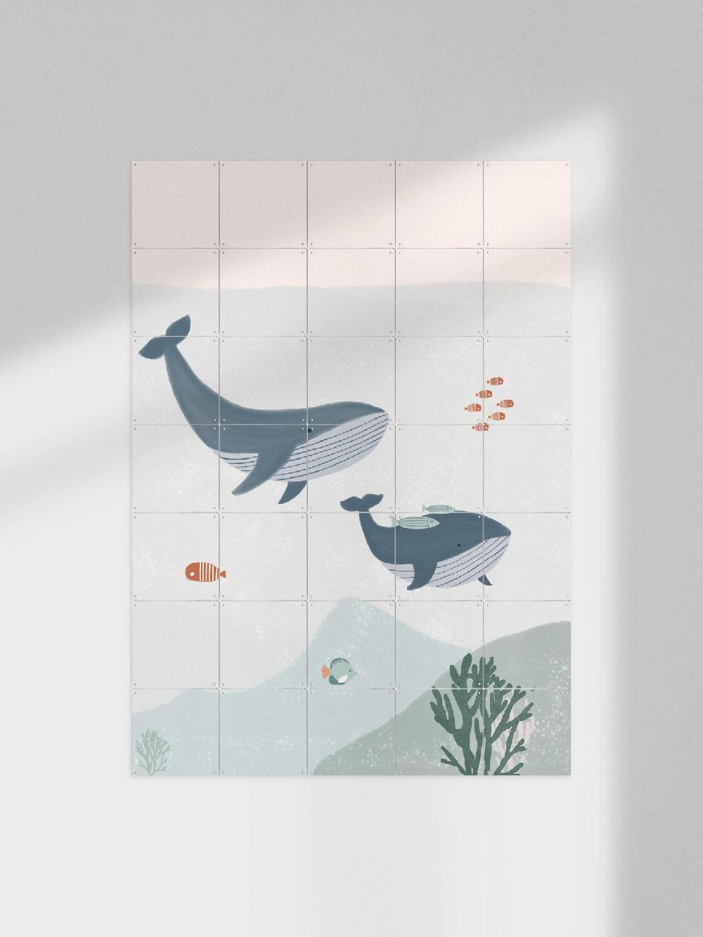 ixxi Menina Lisboa &Various Two Whales vanaf € 11