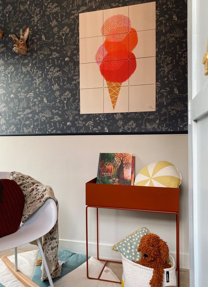 Ixxi Miek Illustreert IJshoorn Vanaf € 11