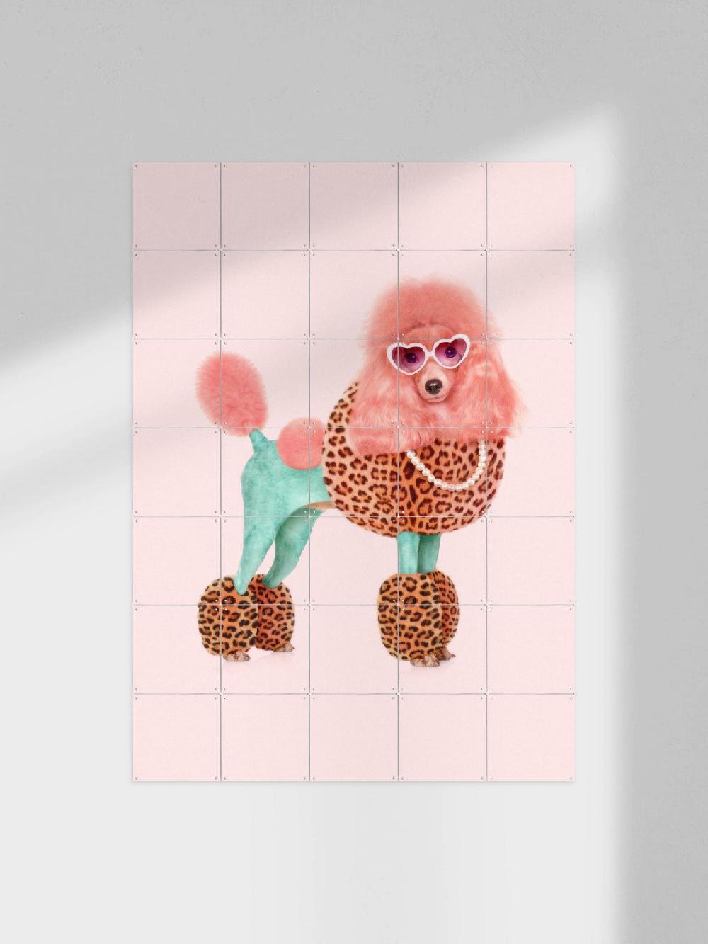 ixxi Paul Fuentes Funky Poodle vanaf € 11