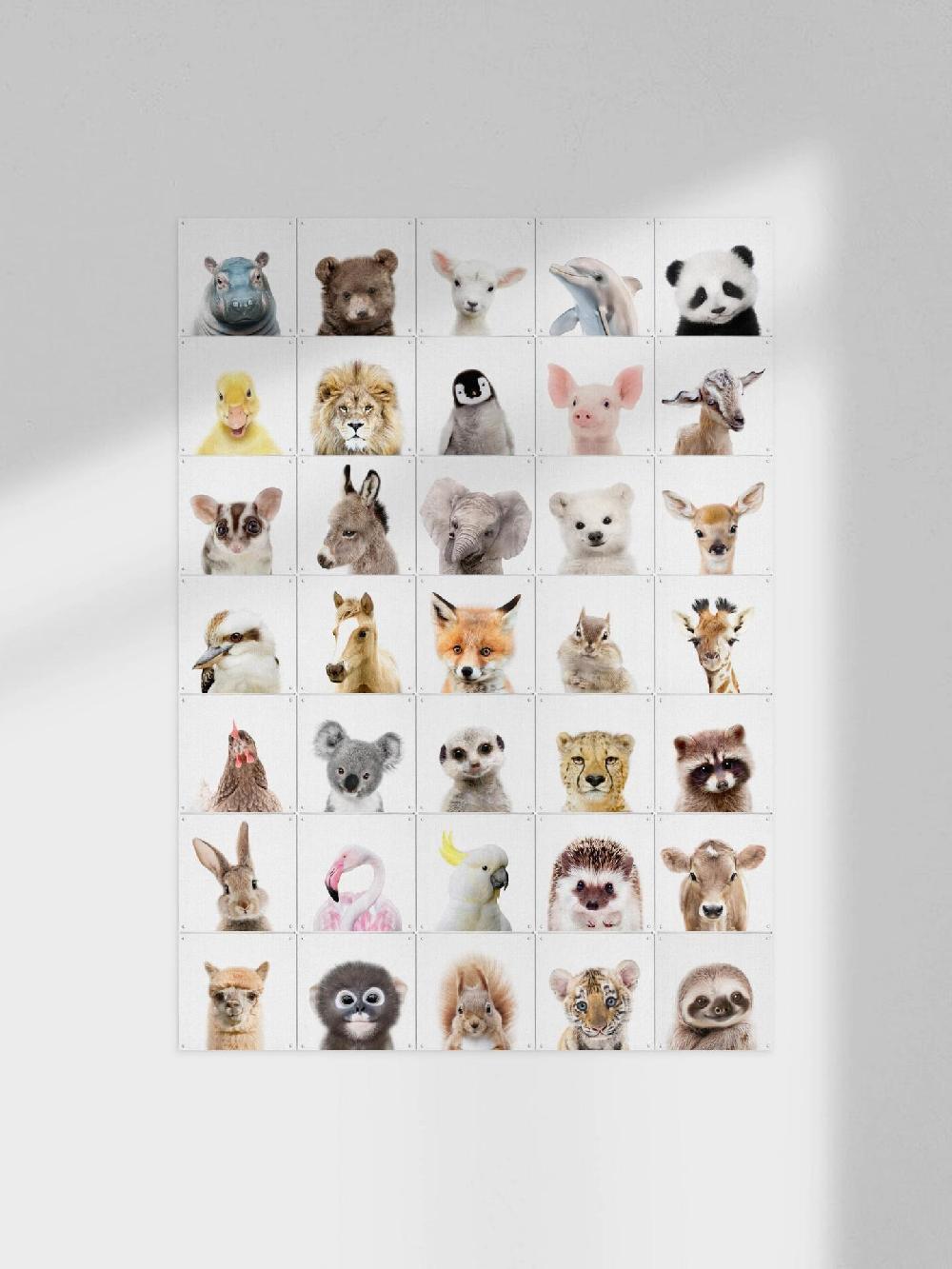 ixxi Lila + Lola Peekaboo Animals Collage Box vanaf € 68 ixxi Lila + Lola Peekaboo Animals Collage Box vanaf € 68