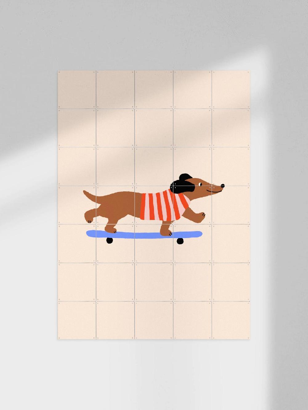 ixxi Maren Gross &Various Dachshund on Skateboard vanaf € 11