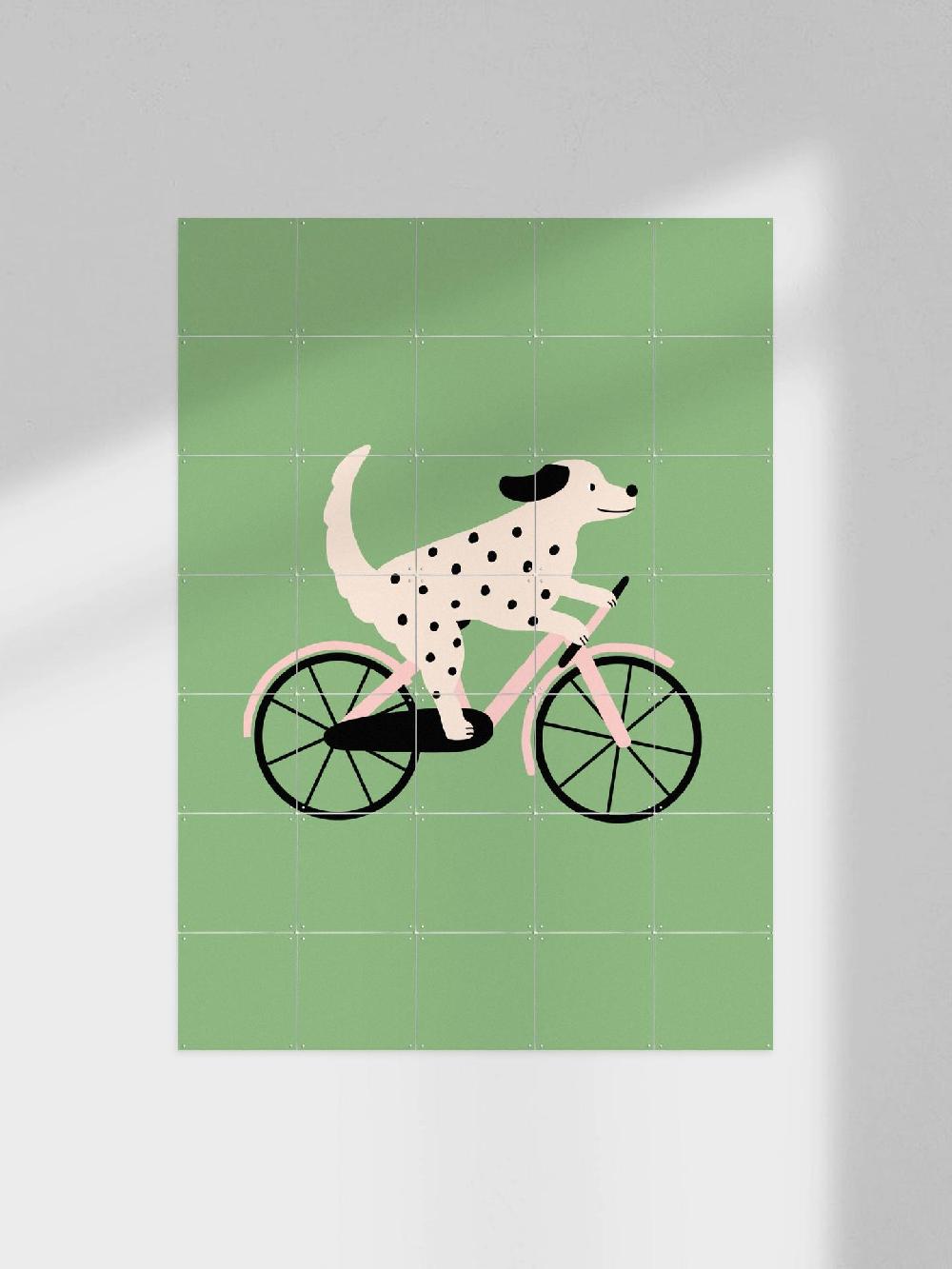 ixxi Maren Gross &Various Spotted Dog Riding a Bicycle vanaf € 11