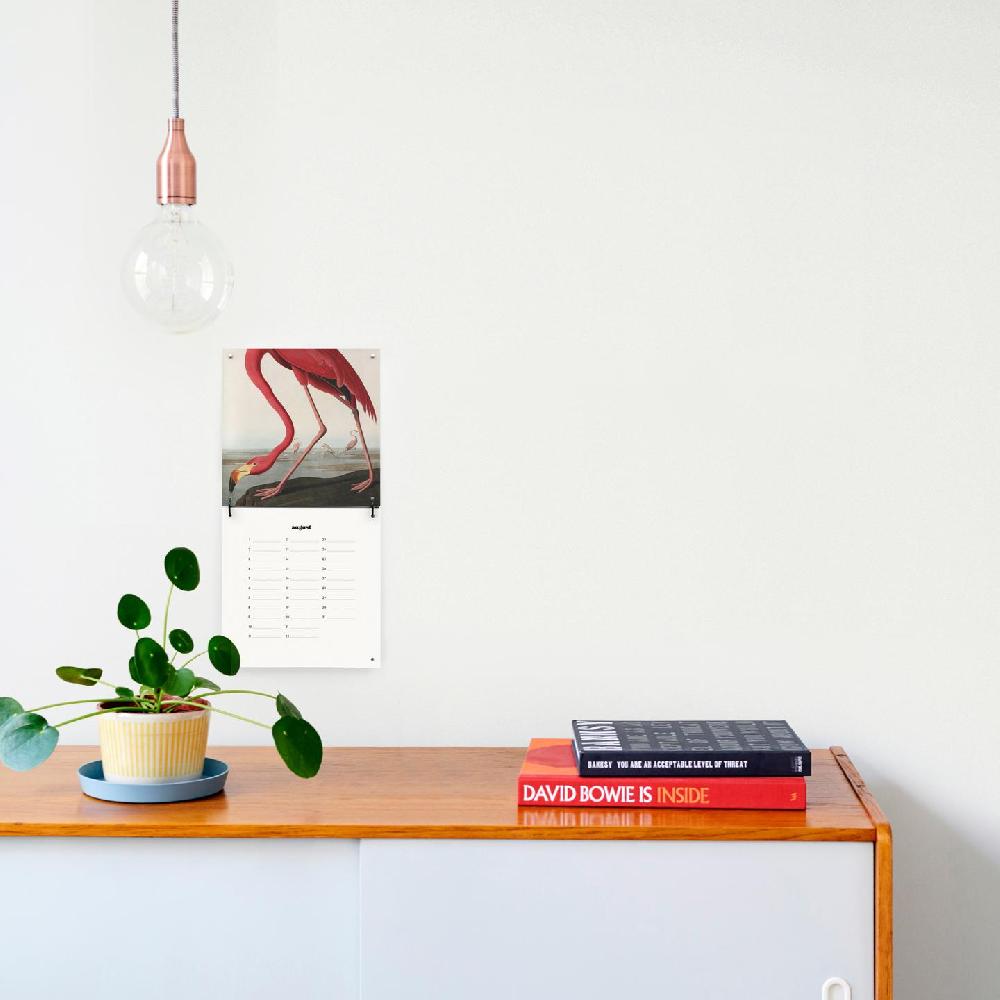 ixxi Natural History Museum Natural History Museum Kalender Verjaardagskalender € 39 99