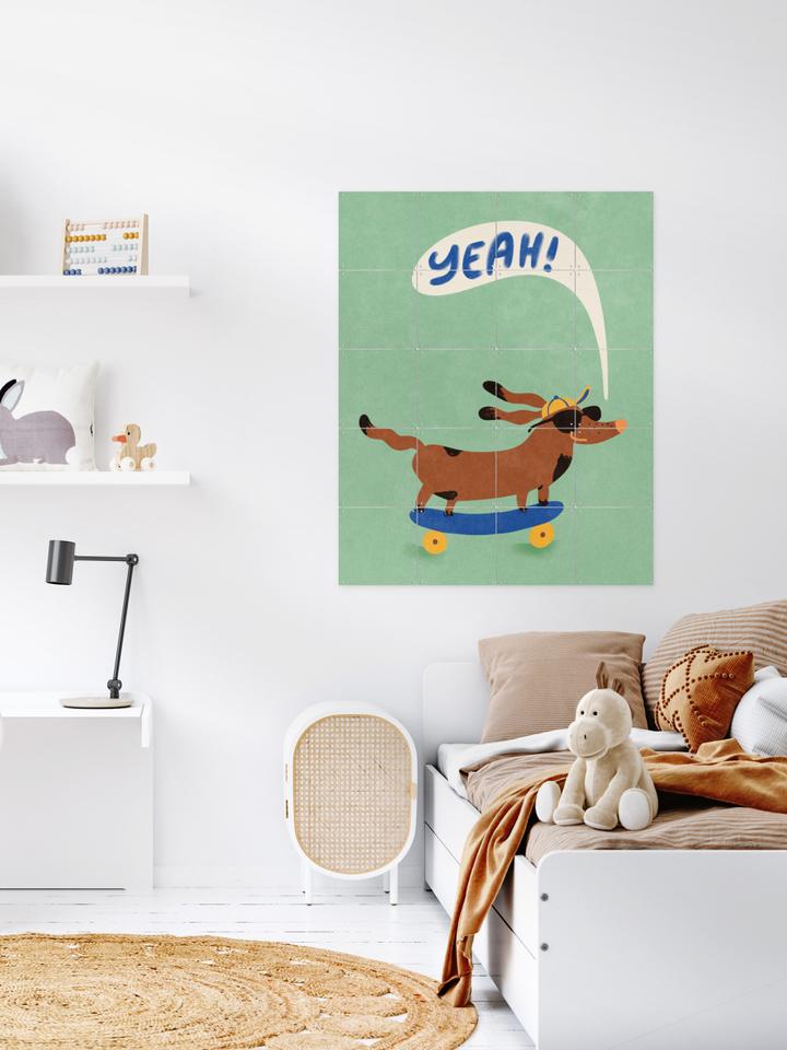 Ixxi Raissa Oltmanns Cool Dog On Skateboard Vanaf € 11