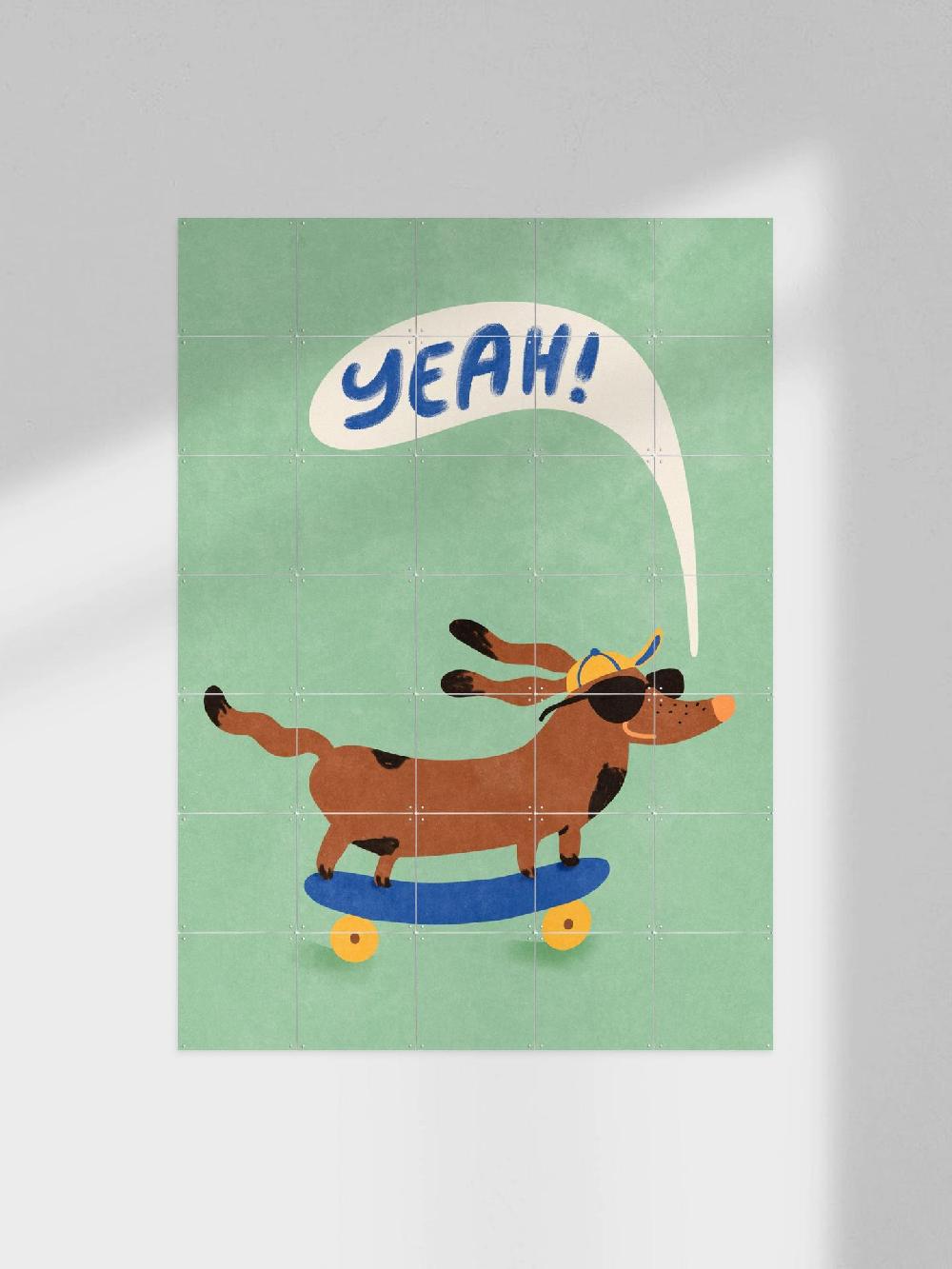 ixxi Raissa Oltmanns Cool Dog On Skateboard vanaf € 11