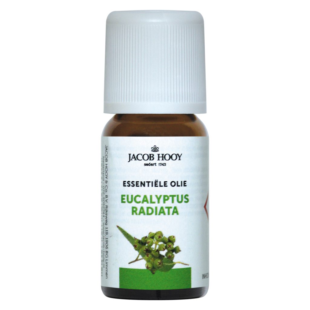jacob hooy Essentiële olie Eucalyptus Radiata 10 ml