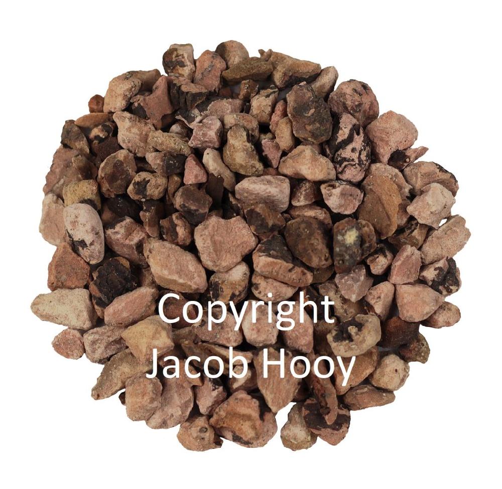 jacob hooy Adderwortel gesneden