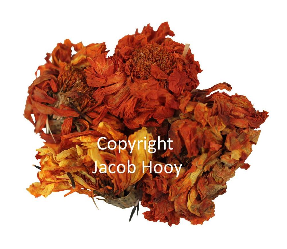 jacob hooy Afrikaantje heel