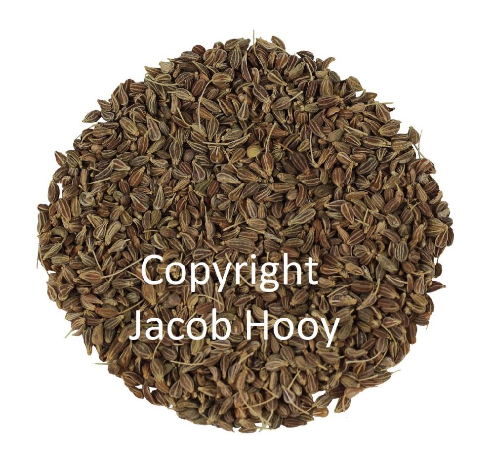 jacob hooy Anijszaad heel