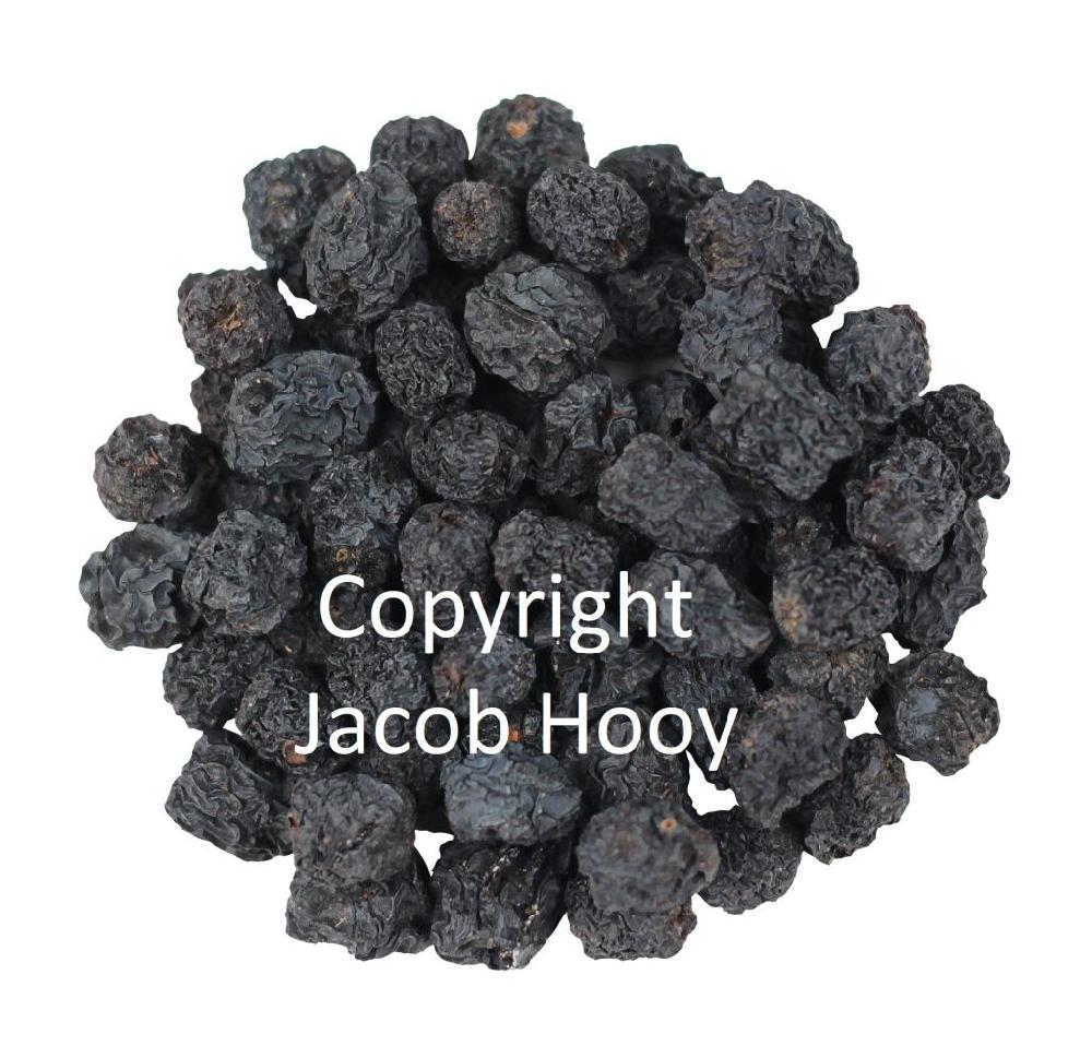 jacob hooy Aroniabessen heel