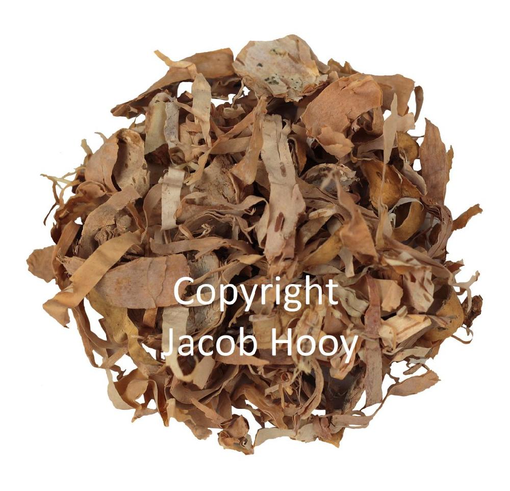 jacob hooy Berkenbast gesneden