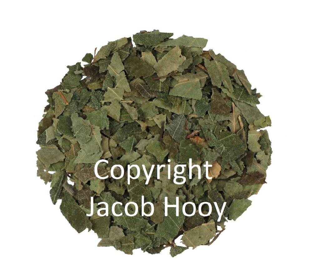 jacob hooy Berkenblad gesneden