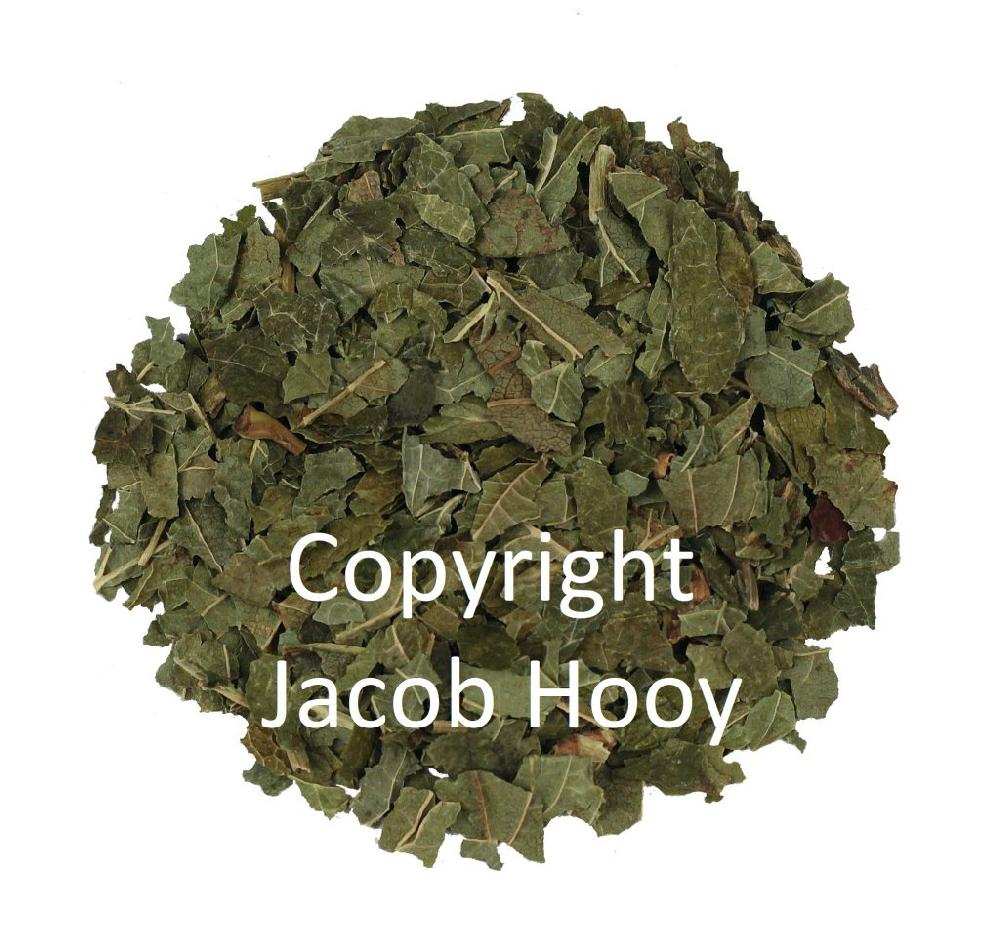 jacob hooy Bessenblad zwart gesneden