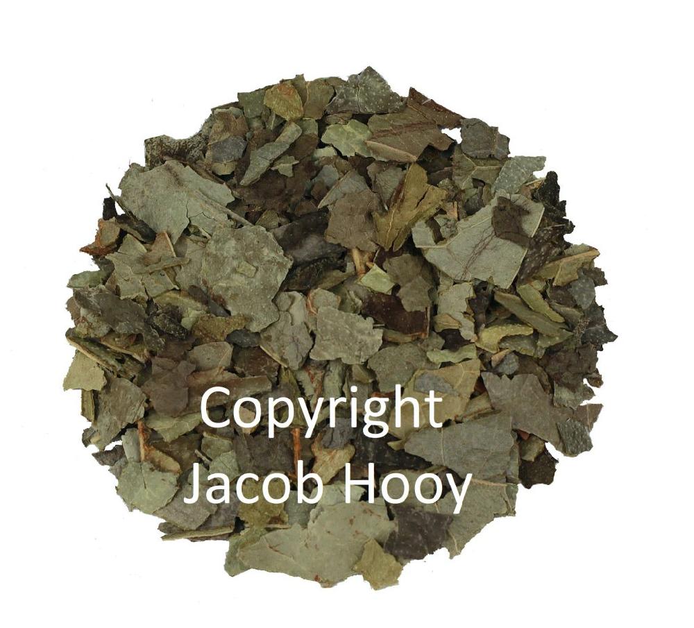 jacob hooy Boldoblad gesneden