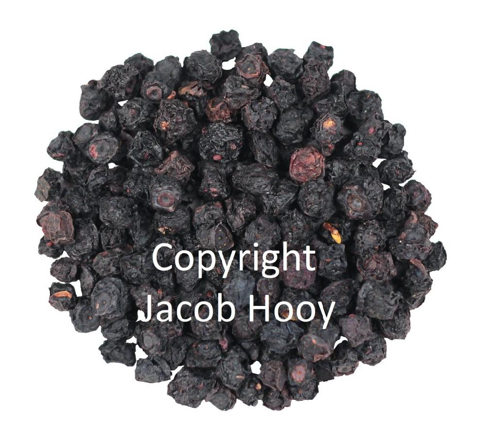 jacob hooy Bosbessen blauw heel