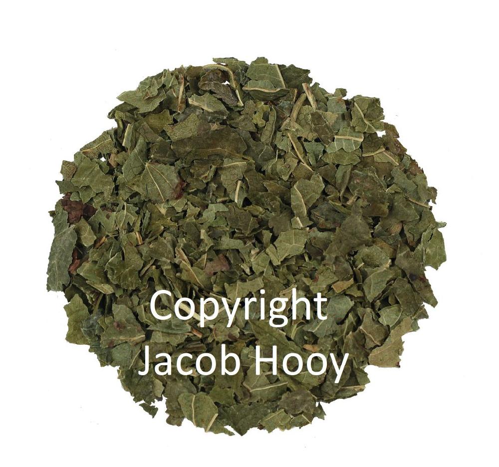 jacob hooy Bosbessenblad gesneden