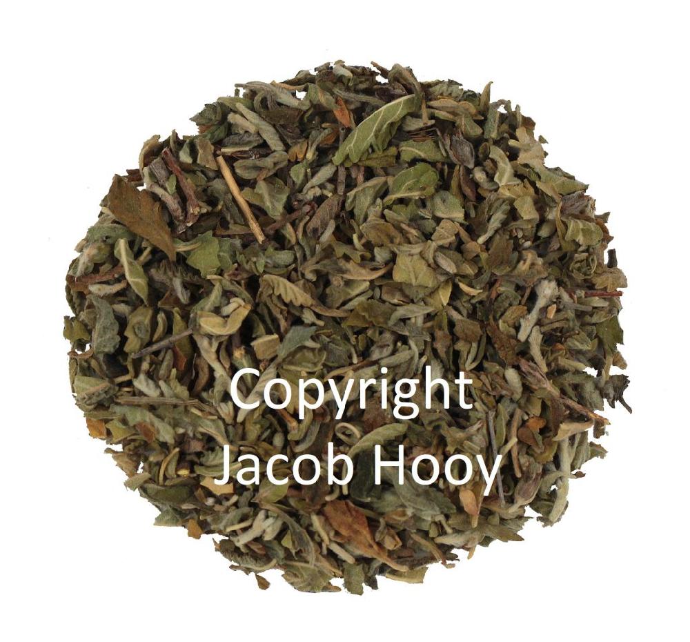 jacob hooy Damianablad gesneden