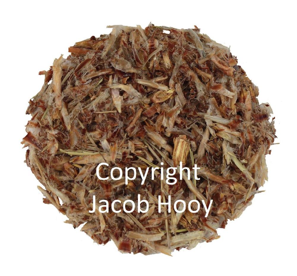 jacob hooy Dennentoppen gesneden