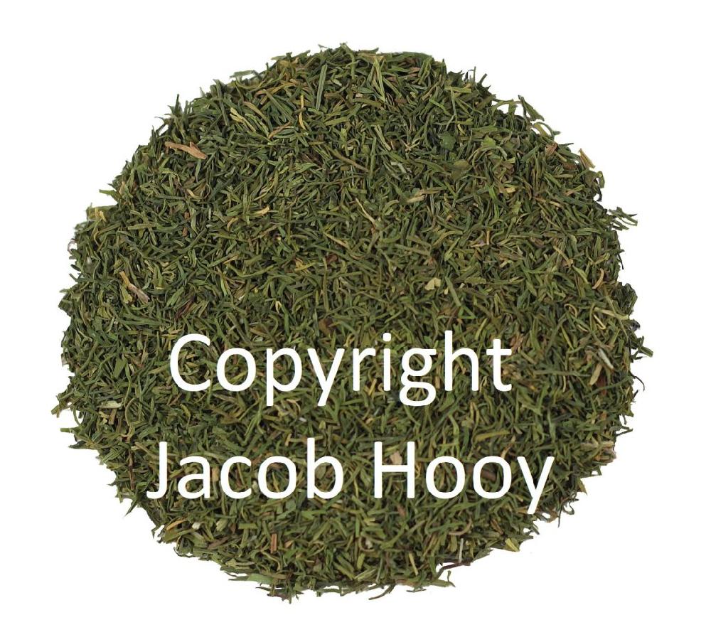 Jacob Hooy Dilletoppen Gerist
