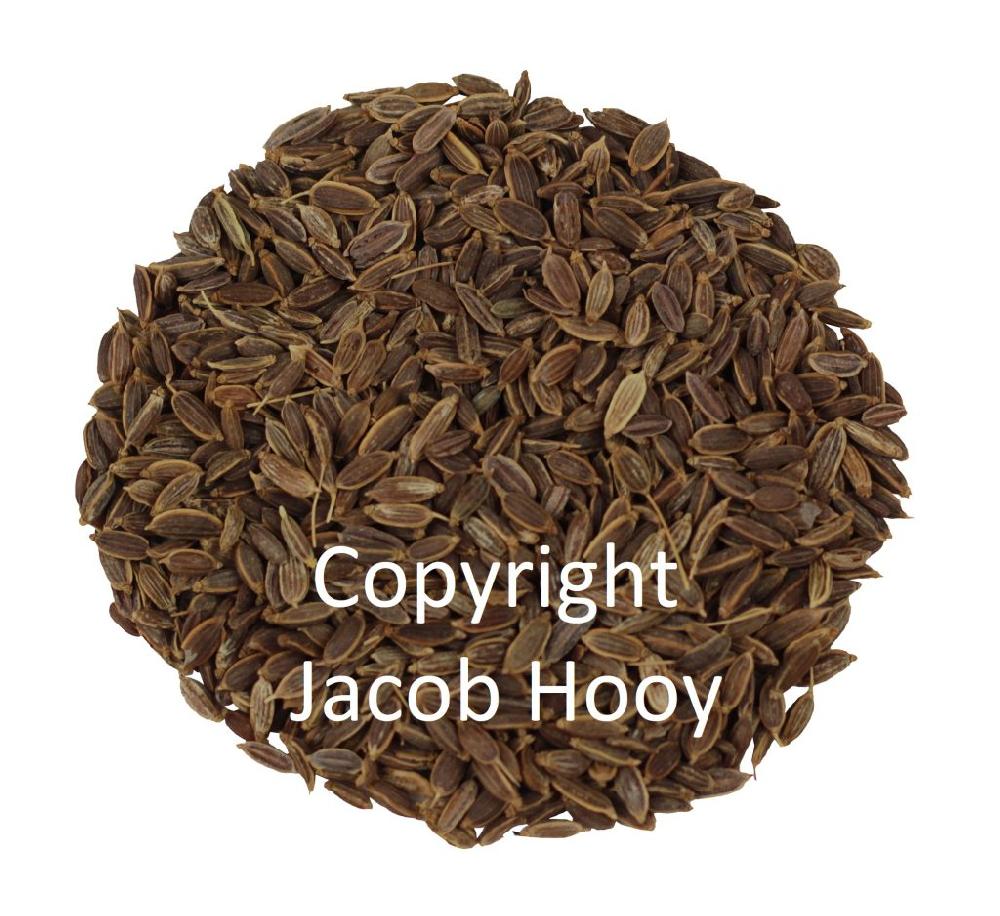 jacob hooy Dillezaad heel