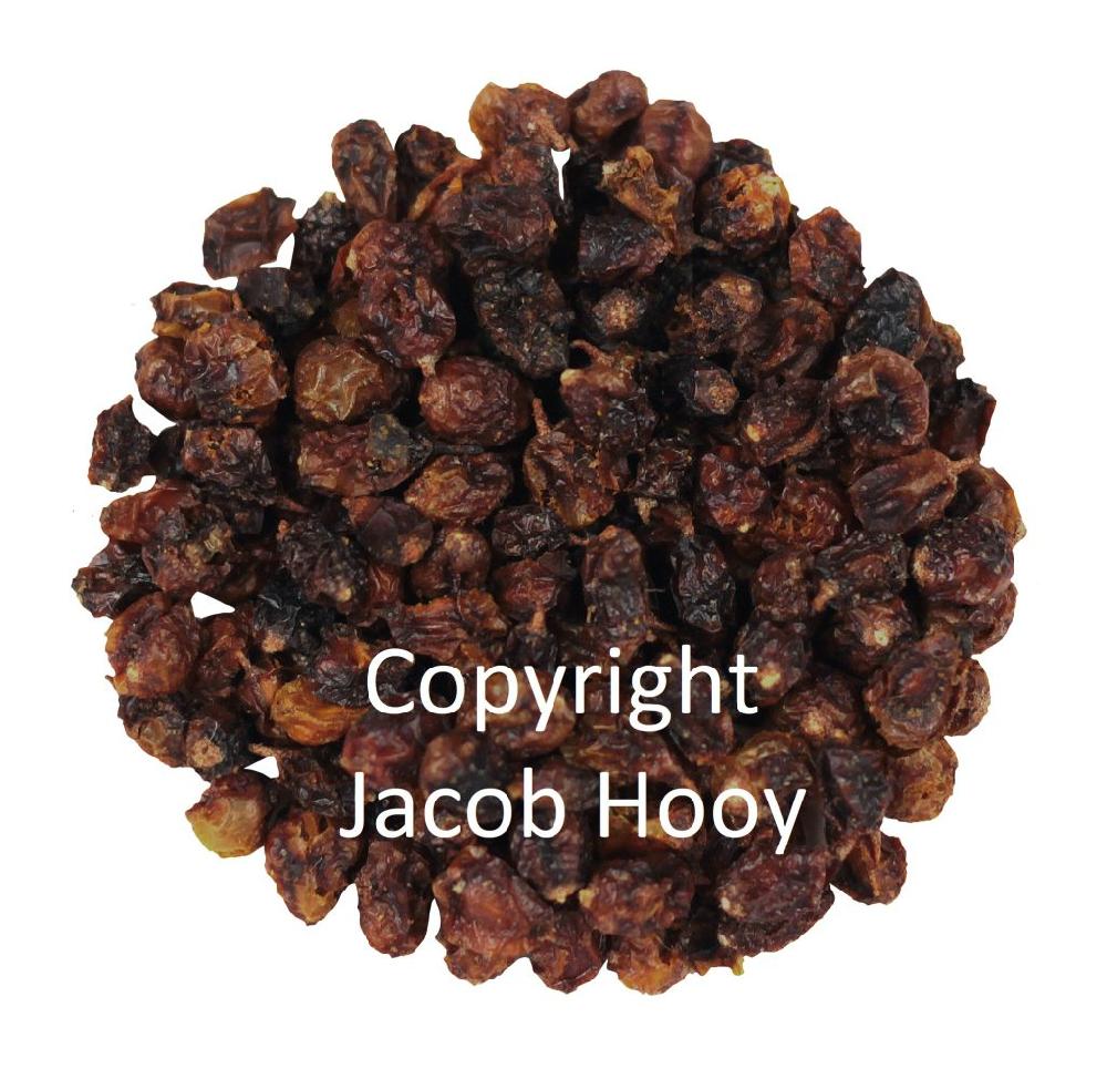 Jacob Hooy Duindoornbessen Heel