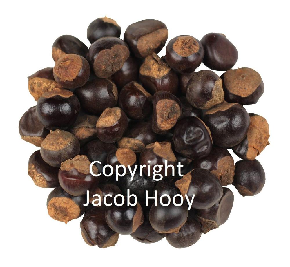 Jacob Hooy Energiezaad Heel