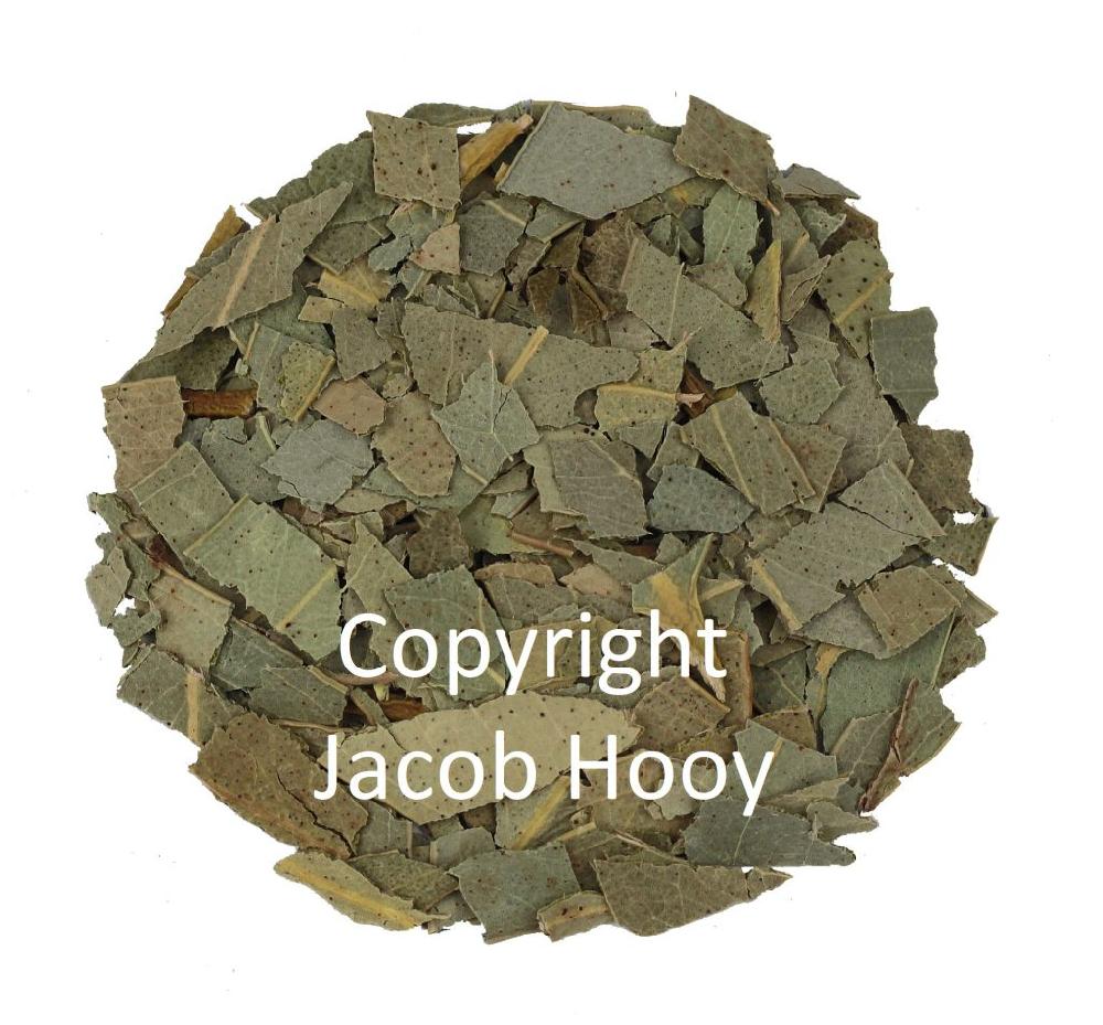 jacob hooy Eucalyptusblad gesneden