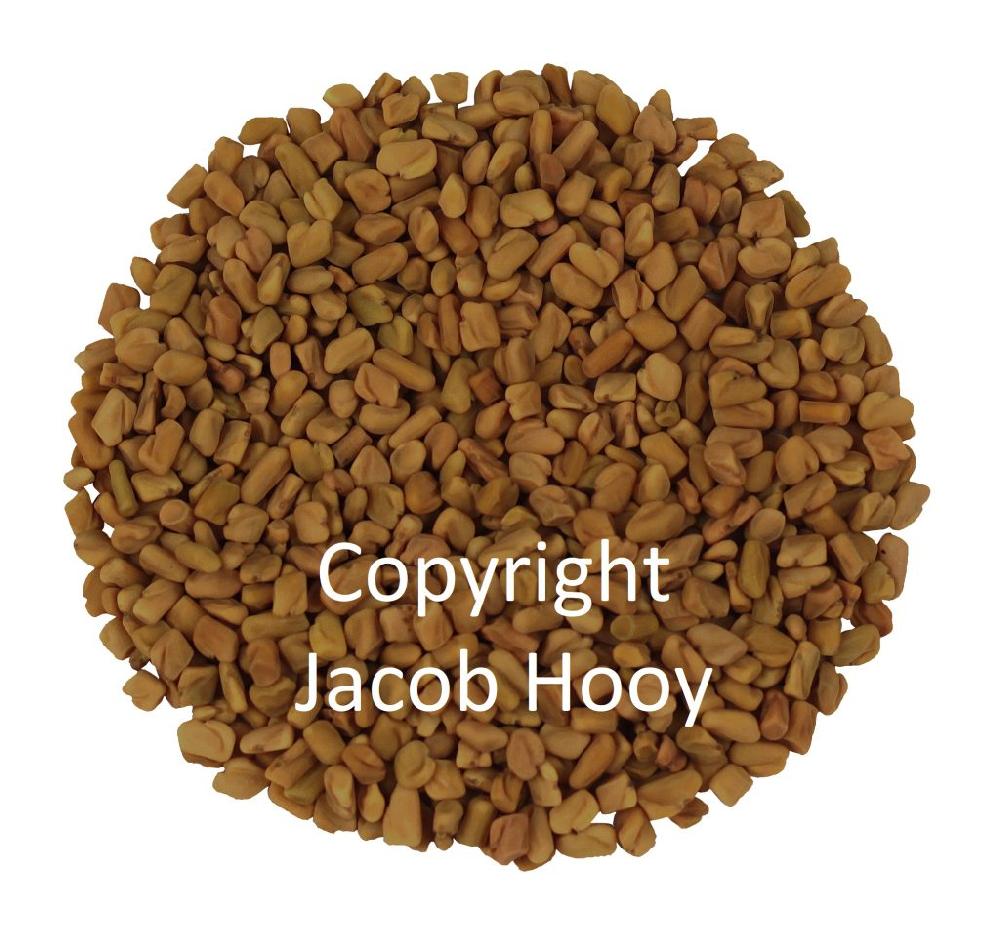 jacob hooy Fenegriek zaad heel