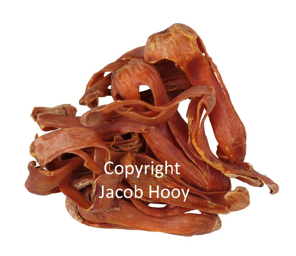 Jacob Hooy Foelie Heel