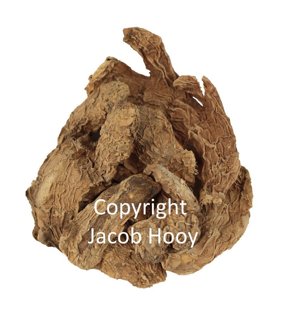 jacob hooy Gember heel