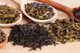 jacob hooy Groene sencha thee