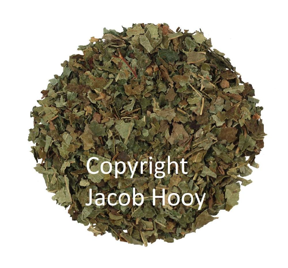 jacob hooy Hazelnootblad gesneden